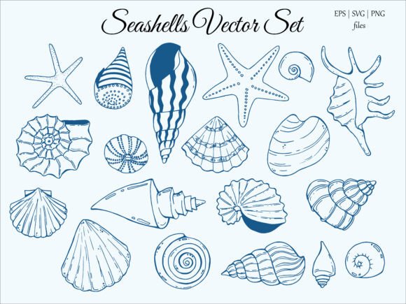 Download Shells Vector Set, PNG, SVG, EPS - Png Collection