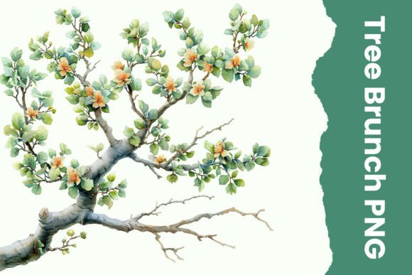 Download Watercolor Tree Branch Png - Png Collection